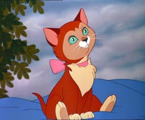 Disney Cat Names - 29 Unforgettable Characters [165+ Name Ideas!]