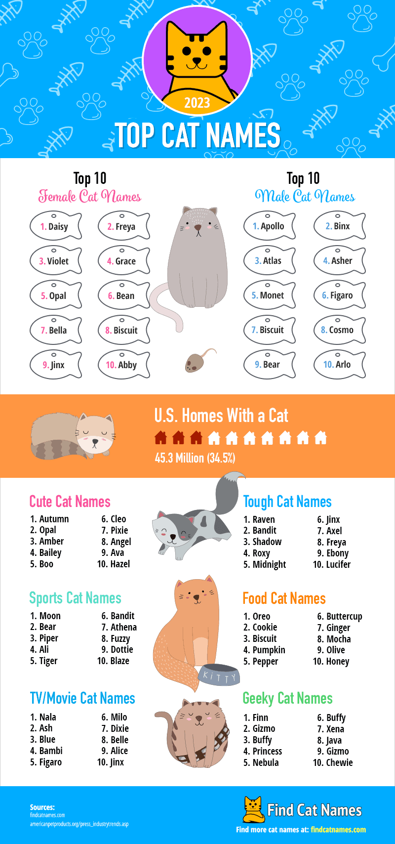top cat names of 2023 infographic