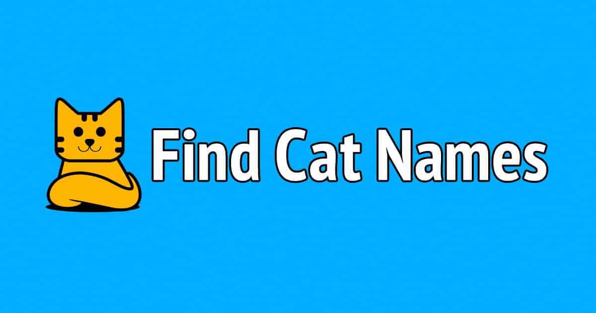 Elegant Cat Names For Girl Cats Search 1500 Awesome Names