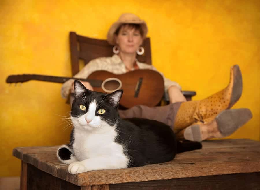 cat laying down near a country guitar player