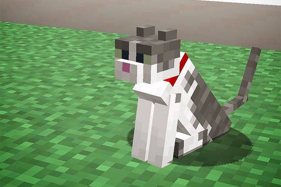grey and white minecraft cat