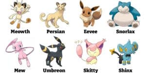 pokemon cat names