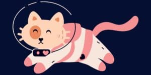 space cat names astronaut